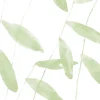 Salava
